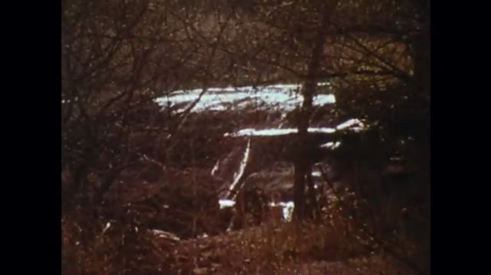 UNITED STATES: 1970s: waterfall in woods. View through trees. Helicopter flies over forest. Man in helicopter