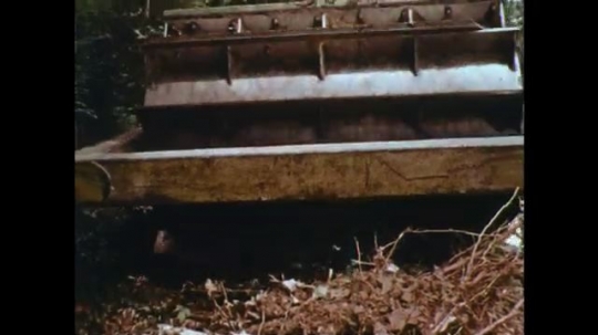 UNITED STATES: 1970s: vehicle flattens ground in forest.