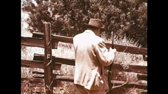 1960s: man rests rifle against wood fence, unrolls bag and looks around. Dog sits on brush. 
