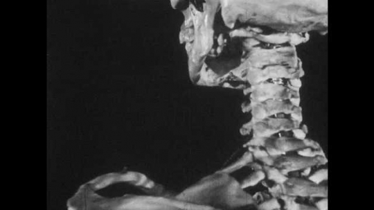 1950s: Neck vertebrae of model skeleton. X-ray of person moving neck. X-ray of person passing a glass bottle. X-ray knees walking. X-ray of feet walking.