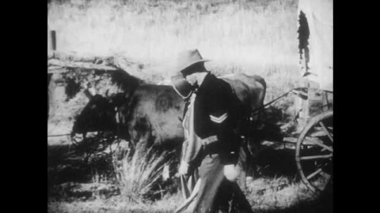 1940s: Man walks woman and girl towards earth house, boy holds reins on bulls. Man, woman, and girl walk through corn field. 