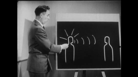 1950s: Male professor stands at chalkboard with drawing of two people.  Man labels with chalk.  Man puts both hands in pockets and speaks. 