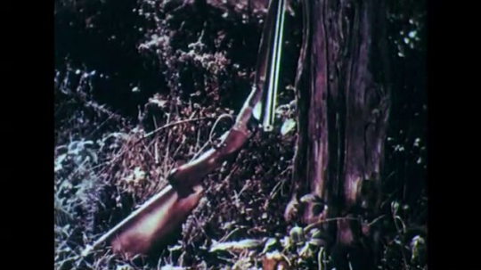 1950s: Rifle next to tree. Man climbs under fence with gun. Man climbs under branch with gun. Man takes gun from car. Girl takes gun from drawer. 