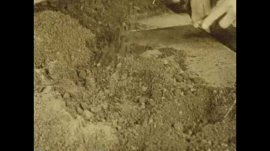 1920s: Boy shovels dirt on table in classroom. Teacher shows him how to do it. Boy tends plants on table. Title card. 