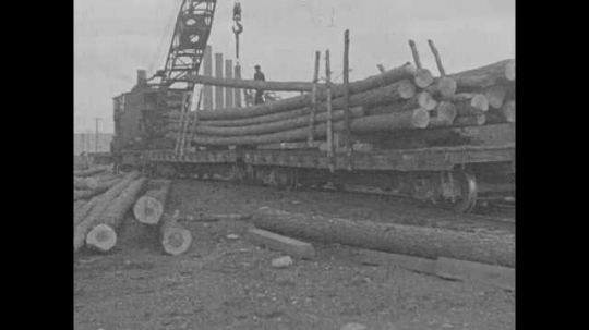 1920s: A crane unloads logs from a trailer. A tractor hauls a log along the ground. Intertitle: 