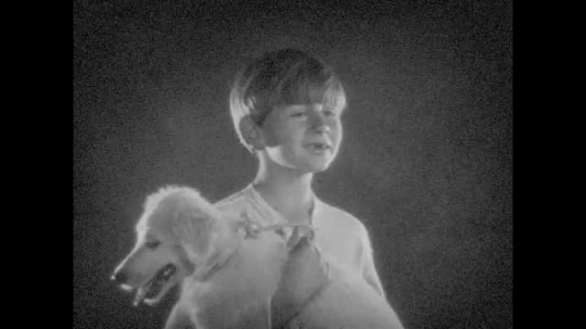 1920s: Mist fills strange forest.  Boy smiles.  Boy walks holding dog.