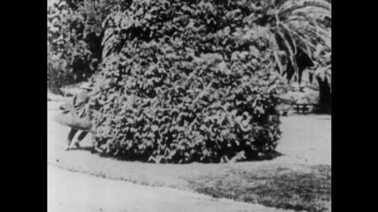1910s: Man runs around bush. Man jumps onto bench with couple. Man kisses woman. Beau stands and throws punch. Couple on bench tip over. Angry group of people follow man. Angry man trips over man.