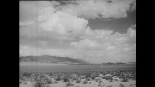 1930s: Desert landscape. Shrubs and bushes in sandy desert ground. 