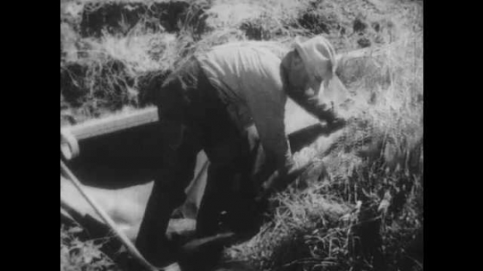 1930s: Farmer stands in water inside main ditch next to canvas dam, shovels soil onto canvas in water to anchor it. 